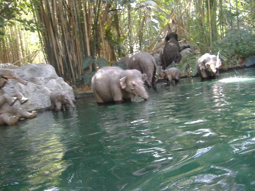 Jungle Cruise