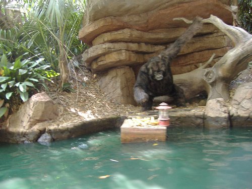 Jungle Cruise