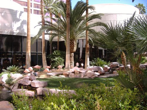 Flamingo Hilton