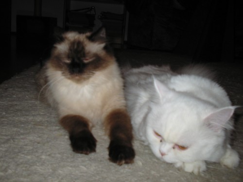 Türkei2007 141.jpg