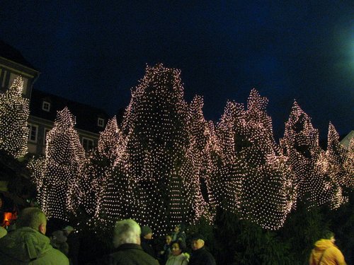 IMG_2584_Bildgröße ändern.JPG