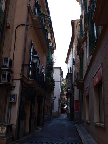 P1010303.JPG
