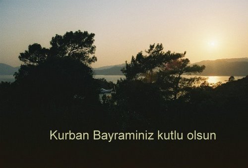 Bayram2011.jpg