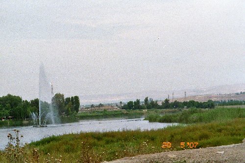 imm002_2A.jpg