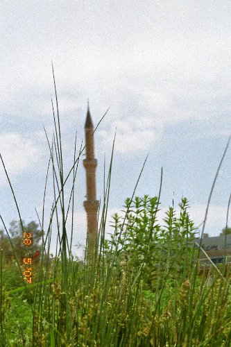 imm005_5A.jpg