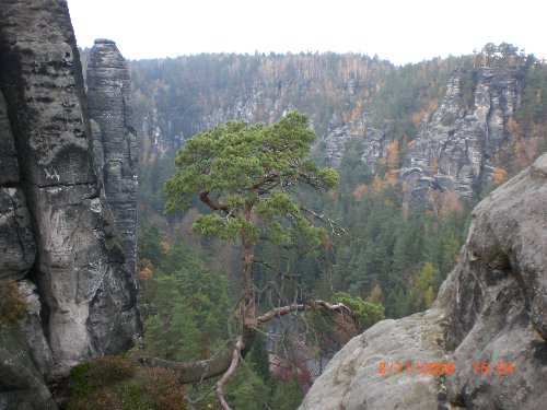 Königstein 182.jpg